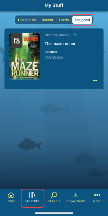 My Stuff Assigned screen.
