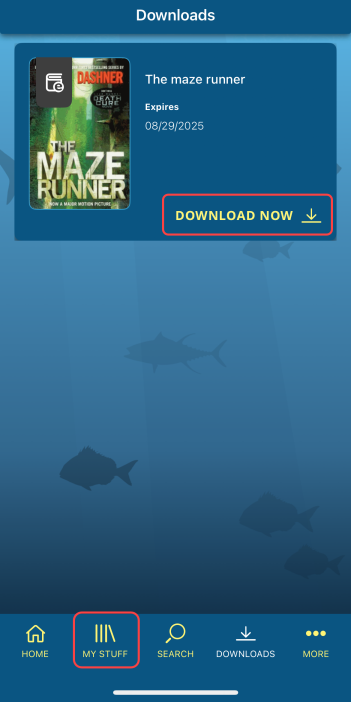 Downloads screen with Download Now highlighted.