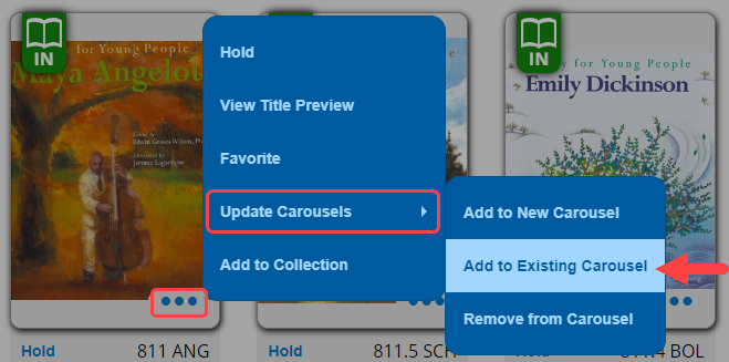 Search result with More Options, Update Carousels, and Add to Existing Carousel options highlighted.