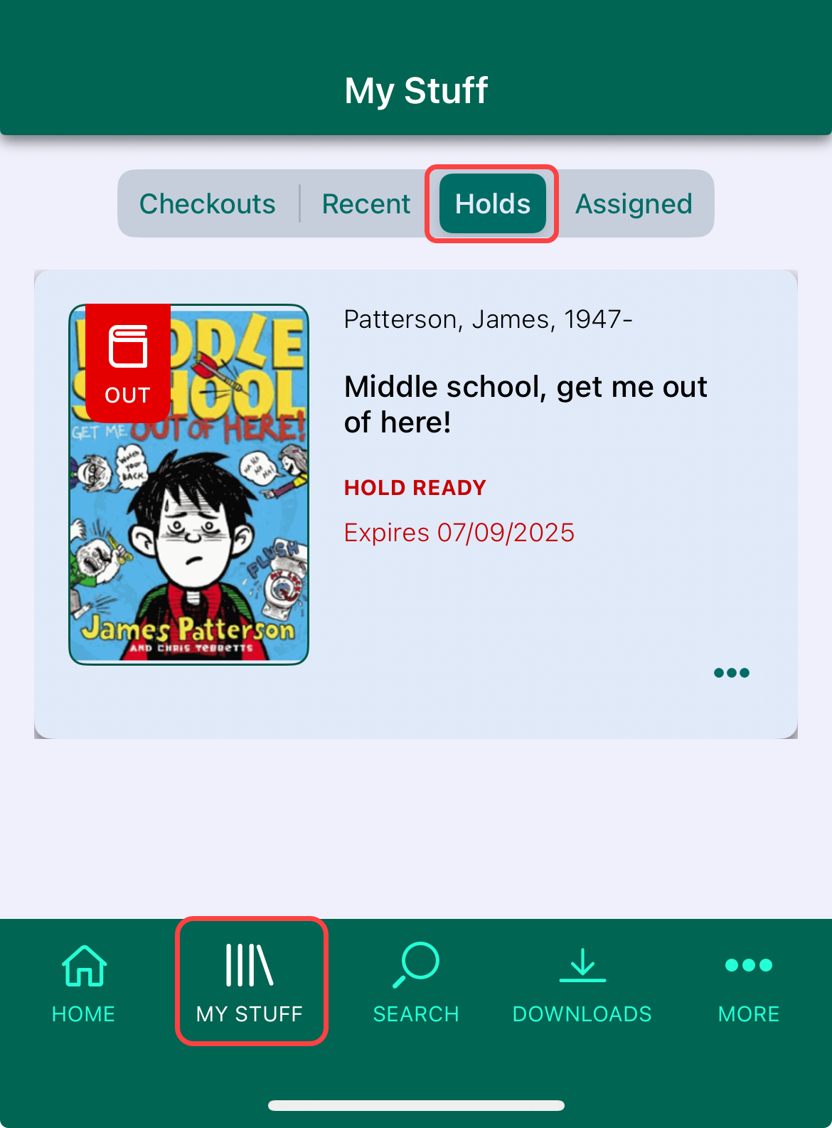 Holds page with My Stuff option and Holds tab highlighted.